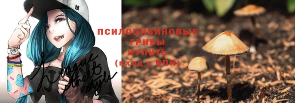 сатива Алзамай