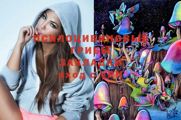 ГАЛЛЮЦИНОГЕННЫЕ ГРИБЫ Алексин