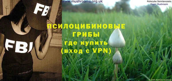 ГАЛЛЮЦИНОГЕННЫЕ ГРИБЫ Алексин