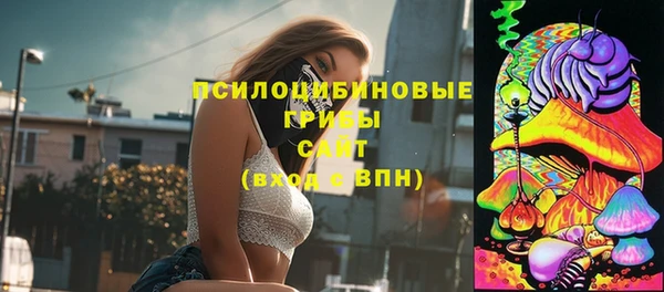 сатива Алзамай