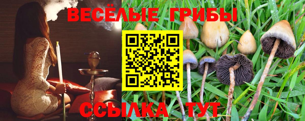 Псилоцибиновые грибы ЛСД Сатка