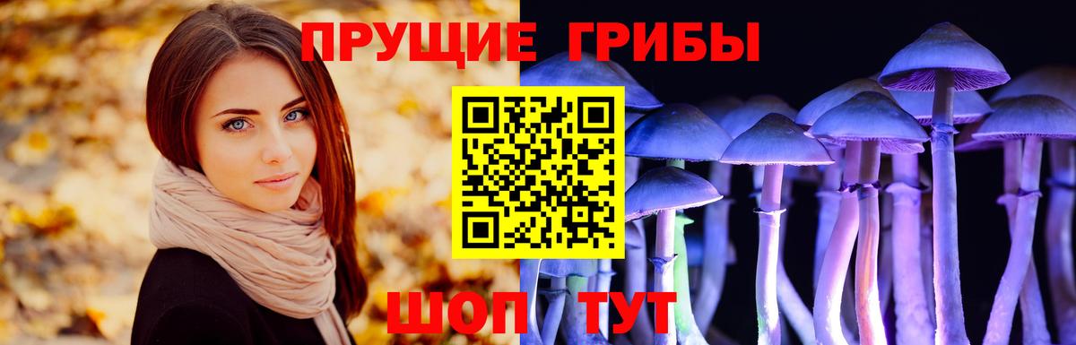 Сатка  Псилоцибиновые грибы мицелий  Вход с VPN 