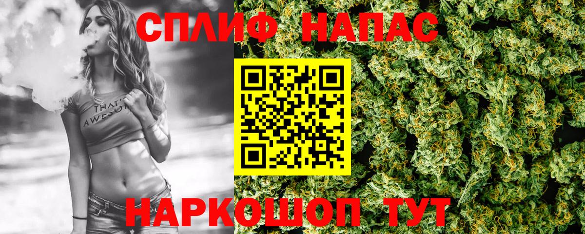 Каннабис сатива  Вход с VPN  Бошки Шишки Amnesia  Сатка  Канабис индика 
